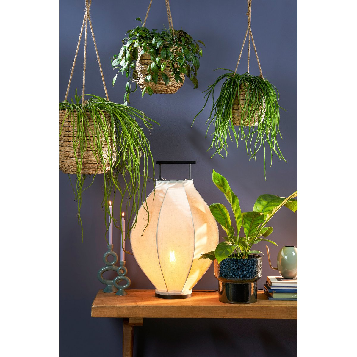 3 zeegras plantenhangers in verschillende formaten in blauw interieur met gezellige plantjes en lampen