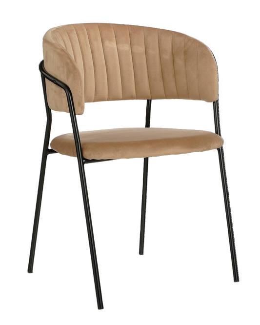 Stijlvol, comfortabel en eigentijds – deze eetkamerstoel combineert een zachte fluwelen bekleding met een strak zwart metalen frame. Perfect voor een moderne eethoek met een warme uitstraling.