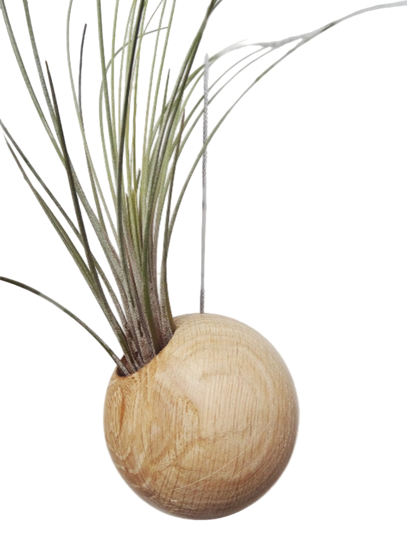 Productfoto hangende lichte plantenbak