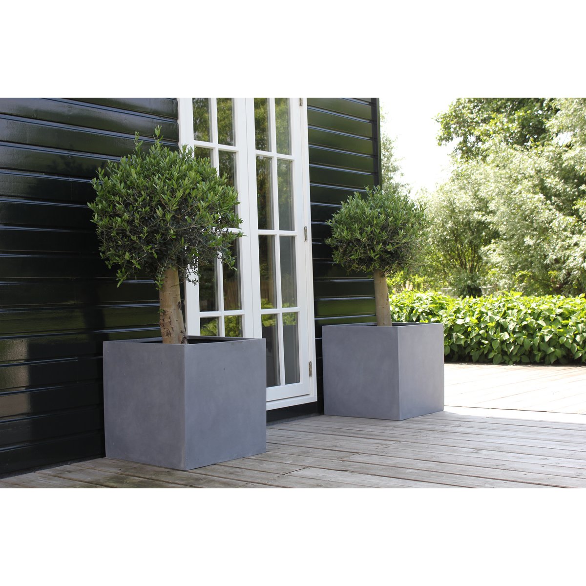 Twee plantenbak voor buiten in grijs fiberstone El Salvador, tegen een houten woning aan met kleine boompjes erin