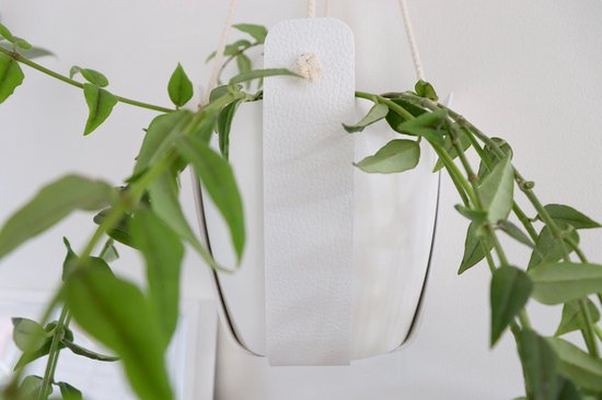 Witte plantenhanger met groene bladeren