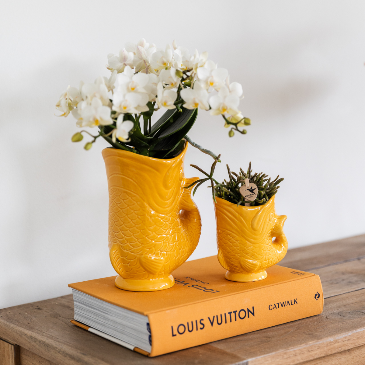 Witte orchidee Nazaré en succulent met oranje vispotten naast elkaar op een oranje boek op houten tafel