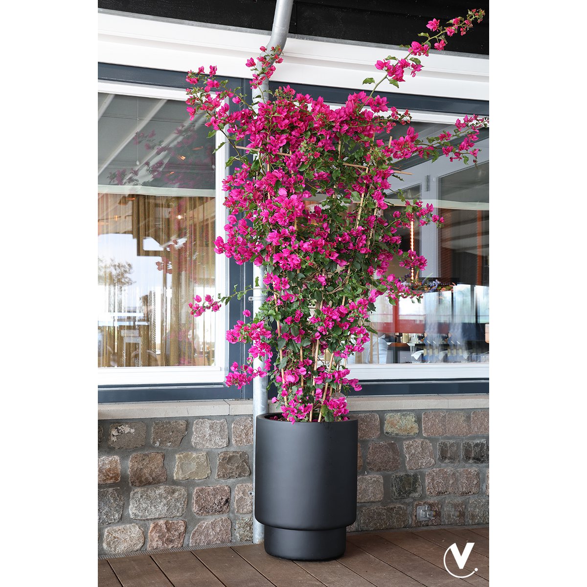 Zwarte fiberstone plantenpot Almstok