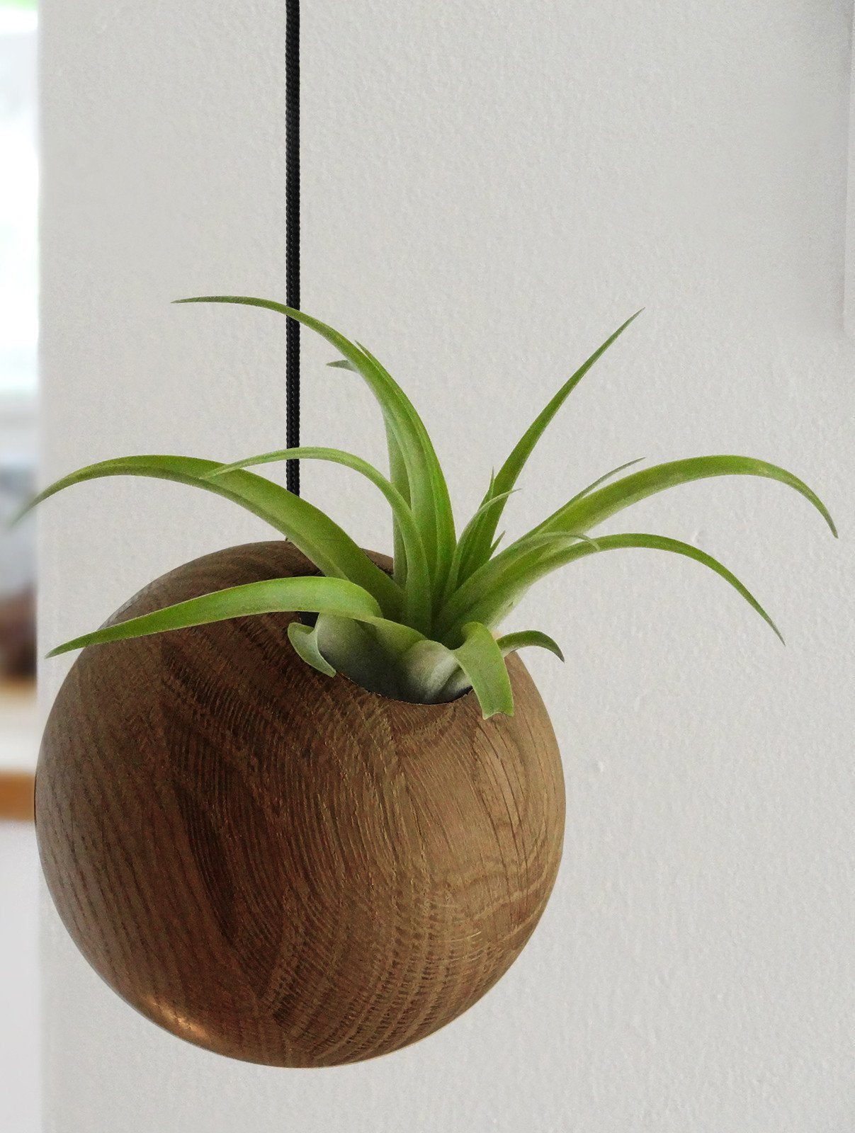 Sfeerfoto hangende donkere plantenbak kleine plant