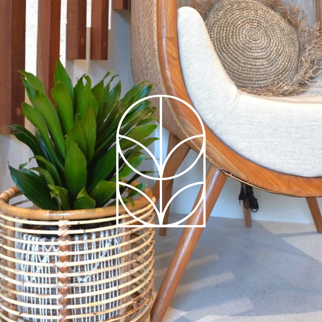Collectie afbeelding van de categorie Potten voor Binnen. Een rotan boho geweven pot voor binnen met een groene plant erin, naast een houten stoel.