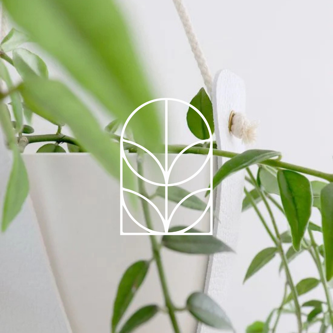 Collectiefoto van de categorie Plantenhangers met daarop het logo van de hoofdcategoriepagina Planten, Potten & Vazen. Op de foto zie je een closeup van een witte plantenhanger, met daaruit groeiend een groene plant.