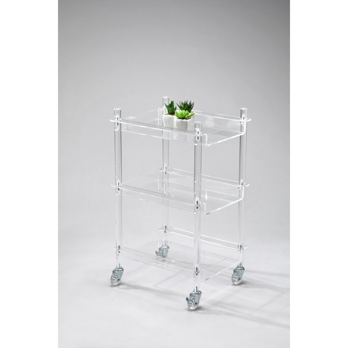 Acryl serveerwagen transparant op wielen 60,5 cm met twee plantjes op de bovenste plank