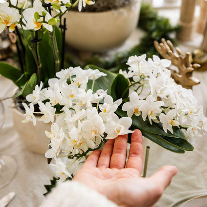 Blaadjes van de witte orchidee liggen in de hand van iemand