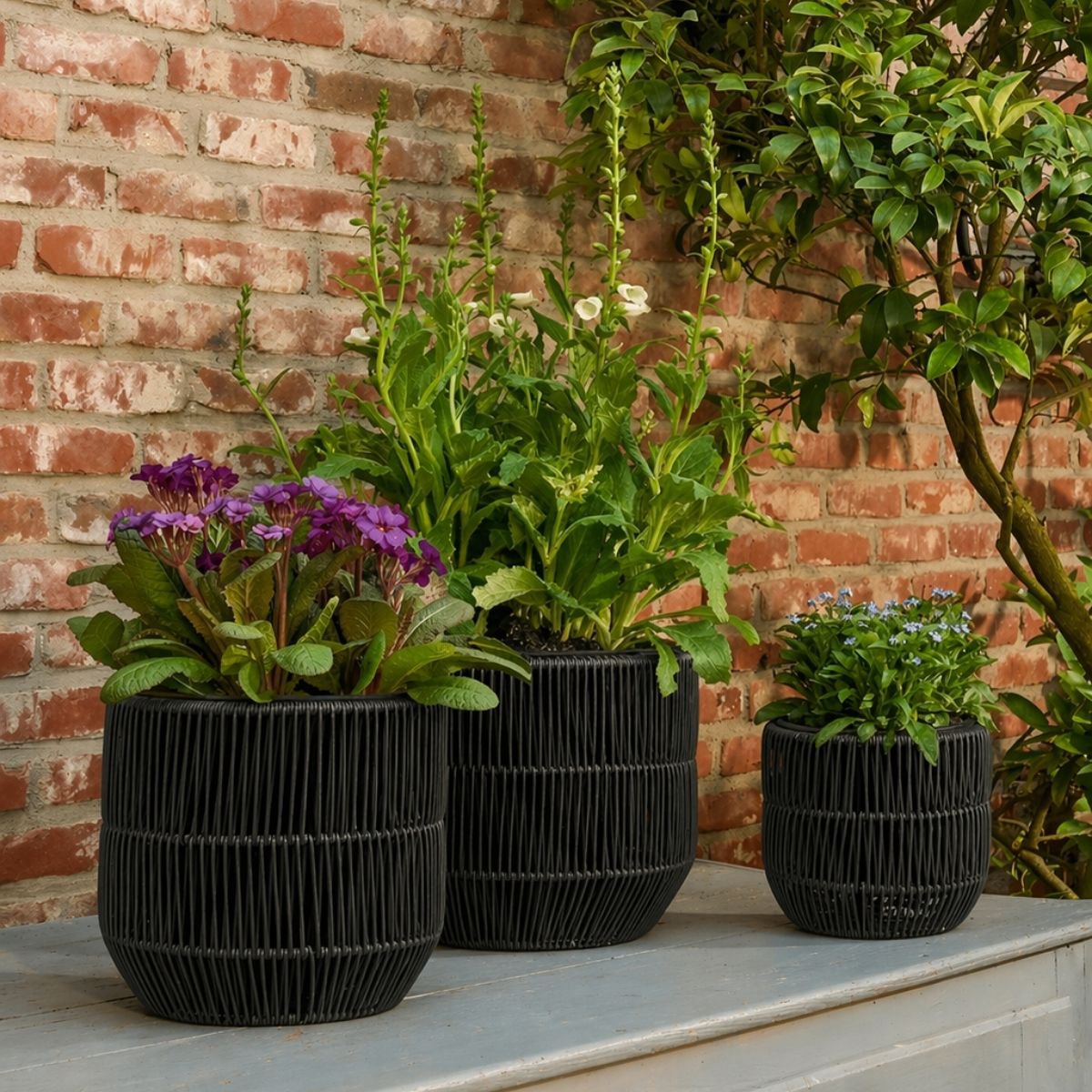 Bloempot buiten in gevlochten zwart set van 3 Peta, in knusse tuin naast elkaar met verschillende soorten planten en bloemen erin