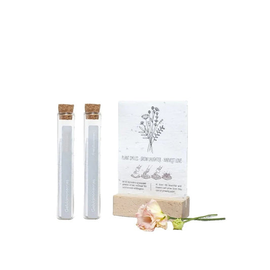 Glazen buisjes met groeipapier veldbloemen naast een kaartje en roze bloemen op witte achtergrond