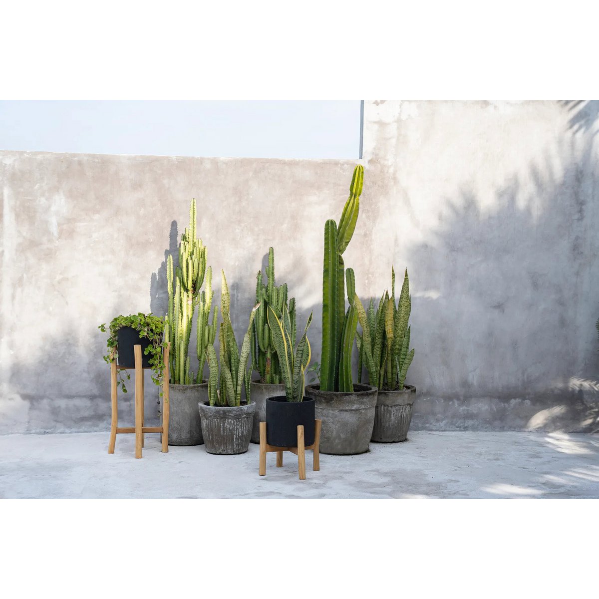 Groene planten in tuin met The Charcoal high plantenstandaard verkrijgbaar bij Luben