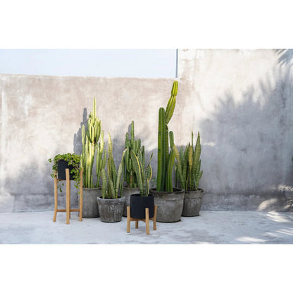 Groene planten in tuin met The Charcoal high plantenstandaard verkrijgbaar bij Luben