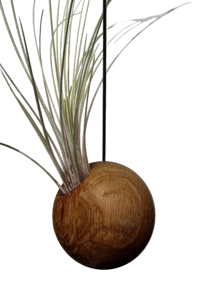 Hangende eikenhouten plantenbak, perfect voor wat extra sfeer in je interieur