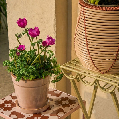 Metalen plantenstandaard lichtgroen 68 cm Rosalie naast een ander tafeltje met twee plantenpotten met planten erin