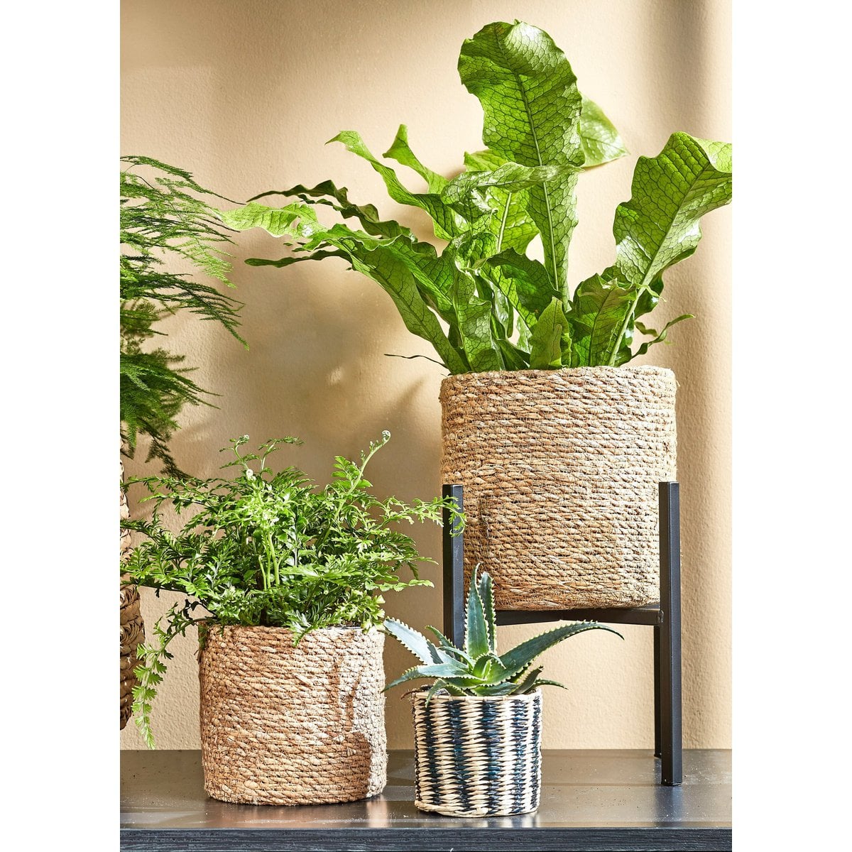 Metalen plantenstandaard zwart 39,5 cm Ascot binnen in een kamer met verschillende potten en planten