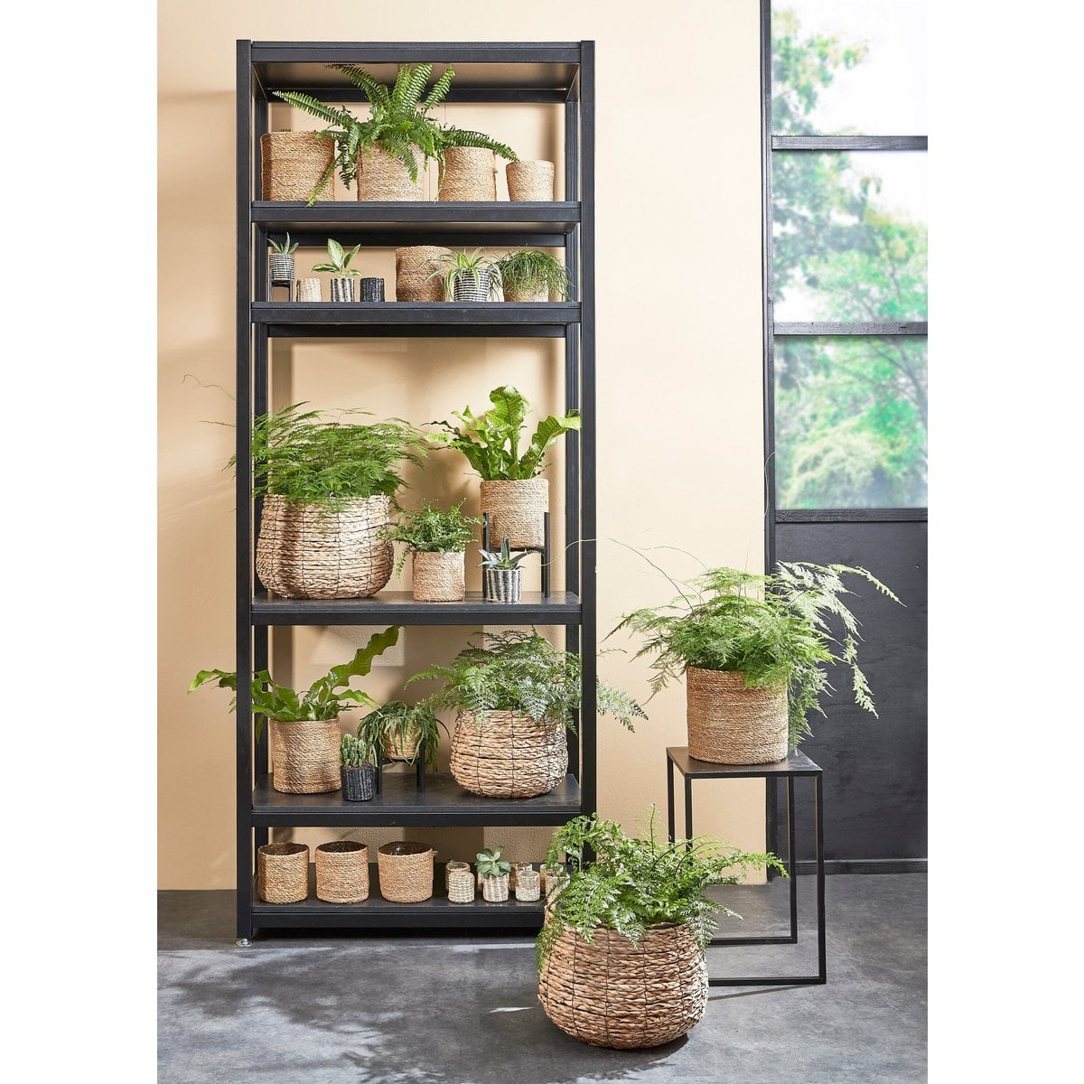 Metalen plantenstandaard zwart 39,5 cm Ascot in een kamer naast een andere metalen zwarte kast, met verschillende potten en planten