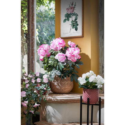 Metalen zwarte plantenstandaard met roze bloempot en witte bloemen erop, omringt door meerdere gezellige planten en bloemen