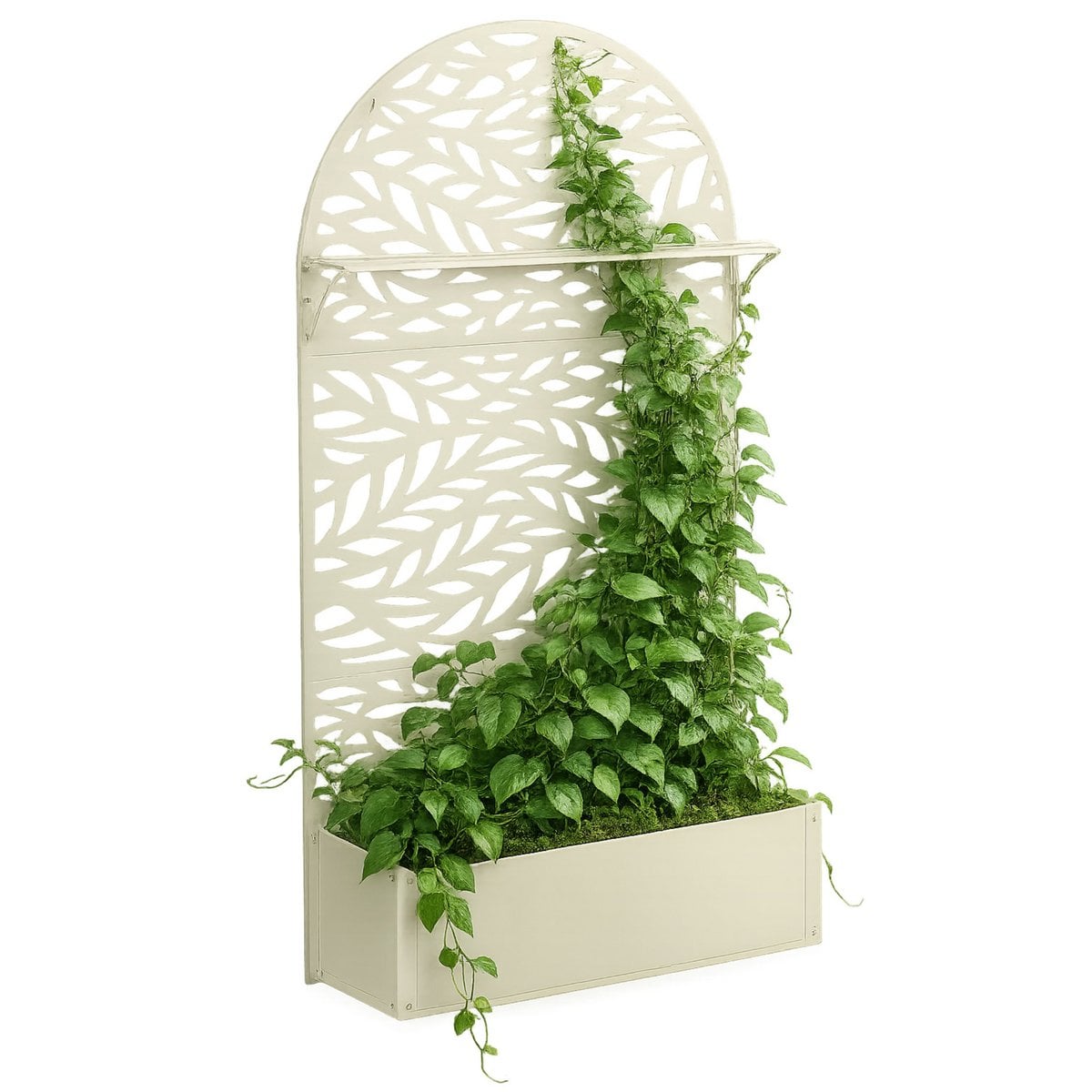 Plantenbak met klimrek wit metaal 180 cm Sapri, met daarin een grote groene klimplant