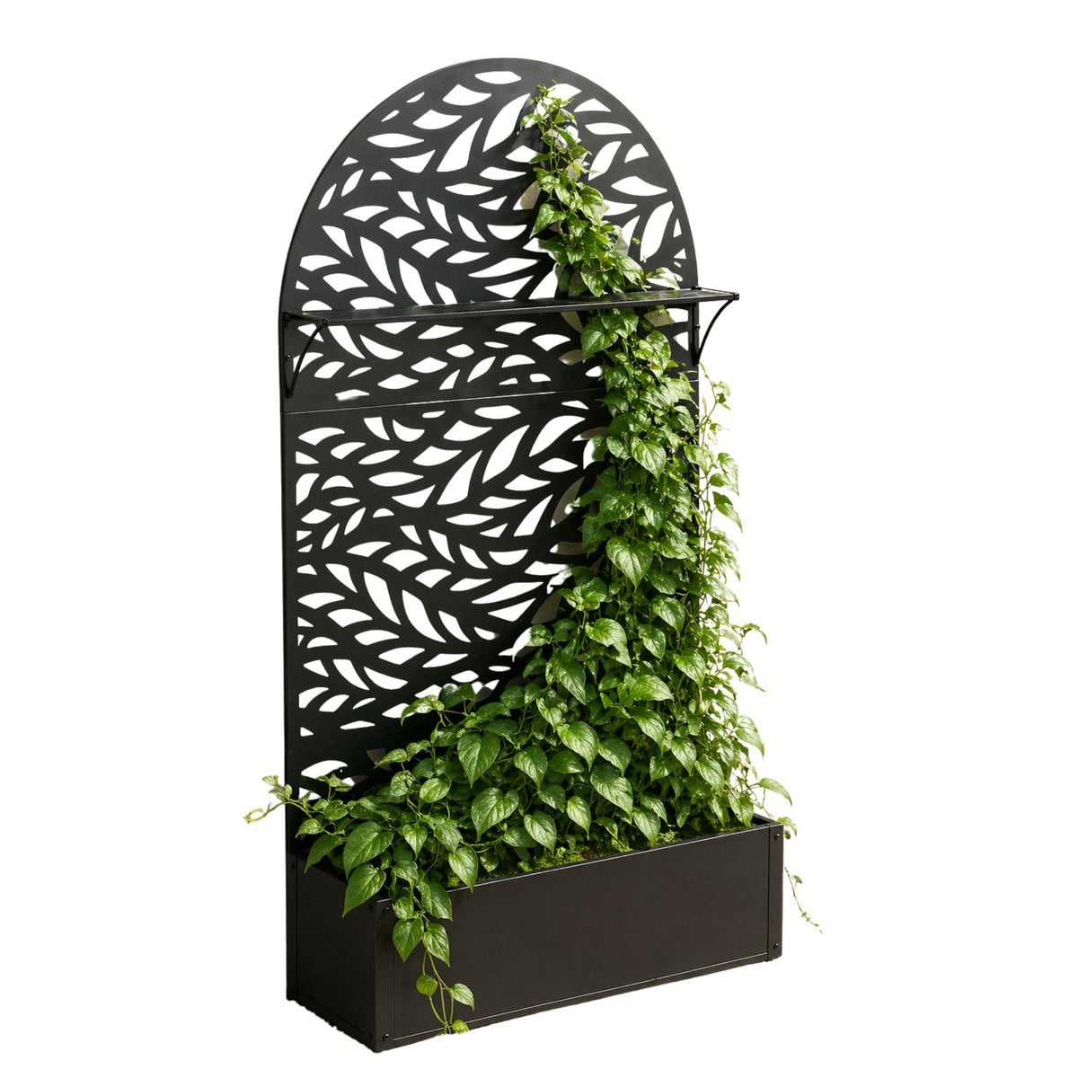 Plantenbak met klimrek zwart metaal 180 cm Sapri met bladerenmotief, hier met planten erin