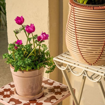 Plantenstandaard buiten Rosalie Gebroken wit met beige planten en bloemenpotten