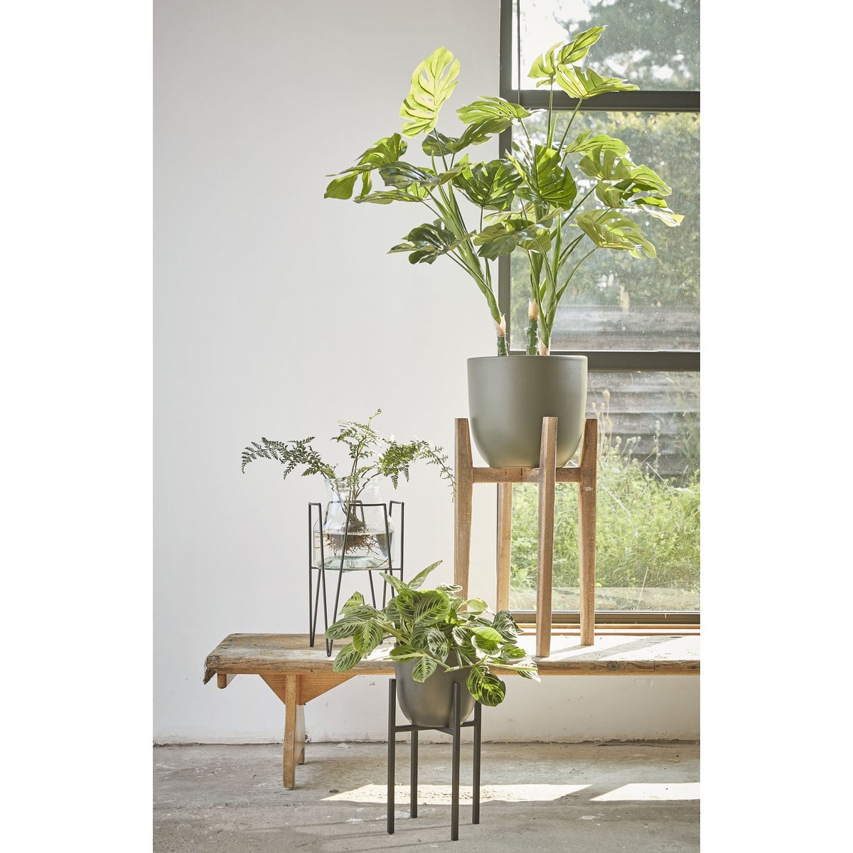 Plantenstandaard metaal zwart Ascot 35 cm met geweven mand met daarin een grijze plantenpot en een klein plantje erin, omringt door verschillende soorten plantenstaanders, bloempotten en planten