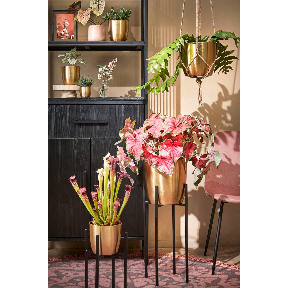 Plantenstandaard zwart metaal hoog 71 cm Ascot in luxe interieur met gouden accenten en roze planten en bloemen
