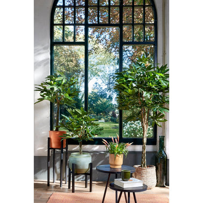 Plantenstandaard zwart metaal hoog 71 cm Ascot voor groot zwart raam, met meerdere verschillende plantenstandaarden en potten