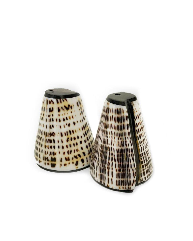 Zout- en peperstel gemaakt van natuurlijke schelpen met zwart detail op een witte achtergrond.