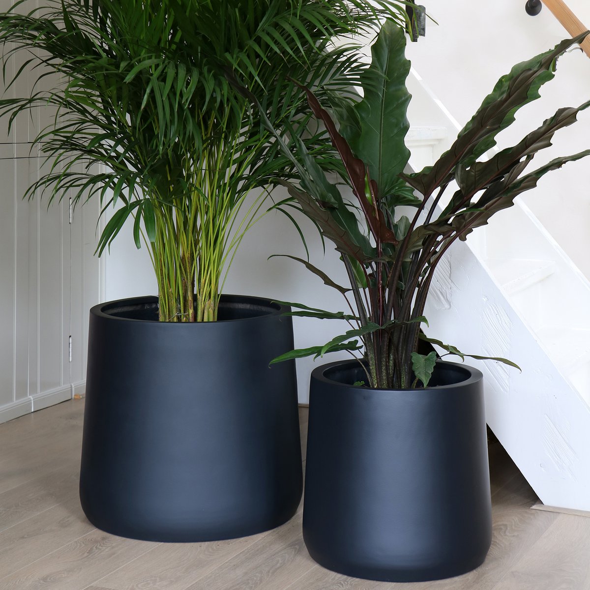 Twee fiberstone plantenpot voor binnen en buiten in zwart Portland naast elkaar langs witte tramp, met verschillende groene kamerplanten eri