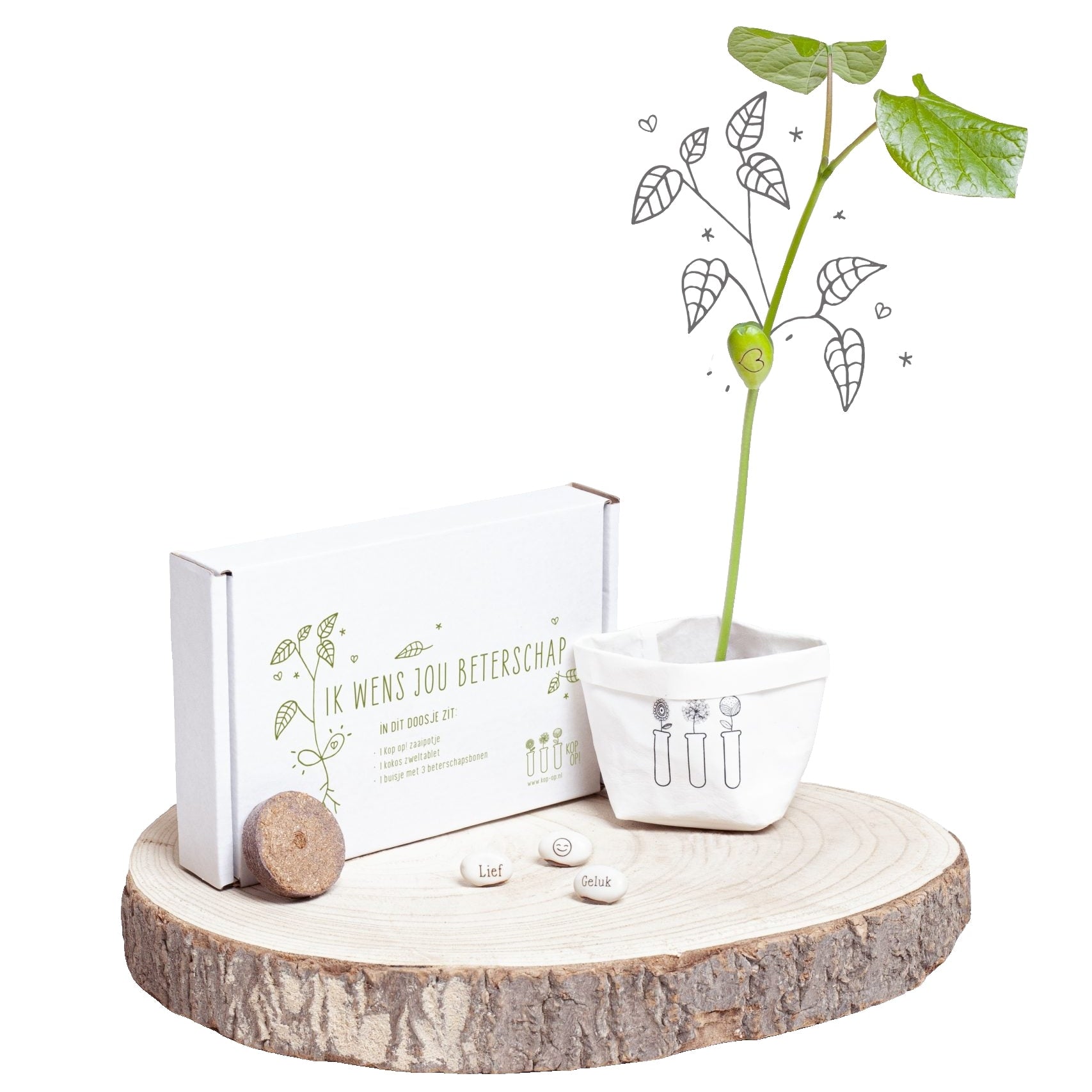 Wensbonen beterschap groeicadeau uitgepakt naast de verpakking, met zaadjes, aarde en standaard
