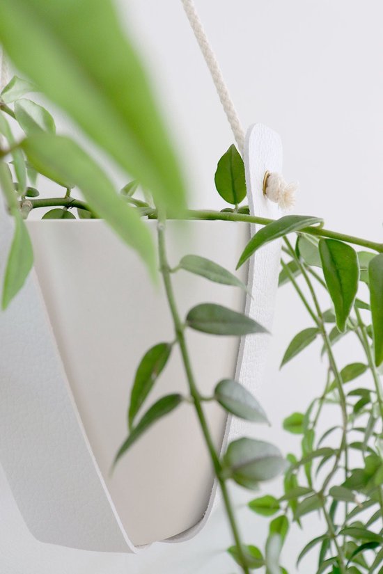 Witte plantenhanger met groene bladeren