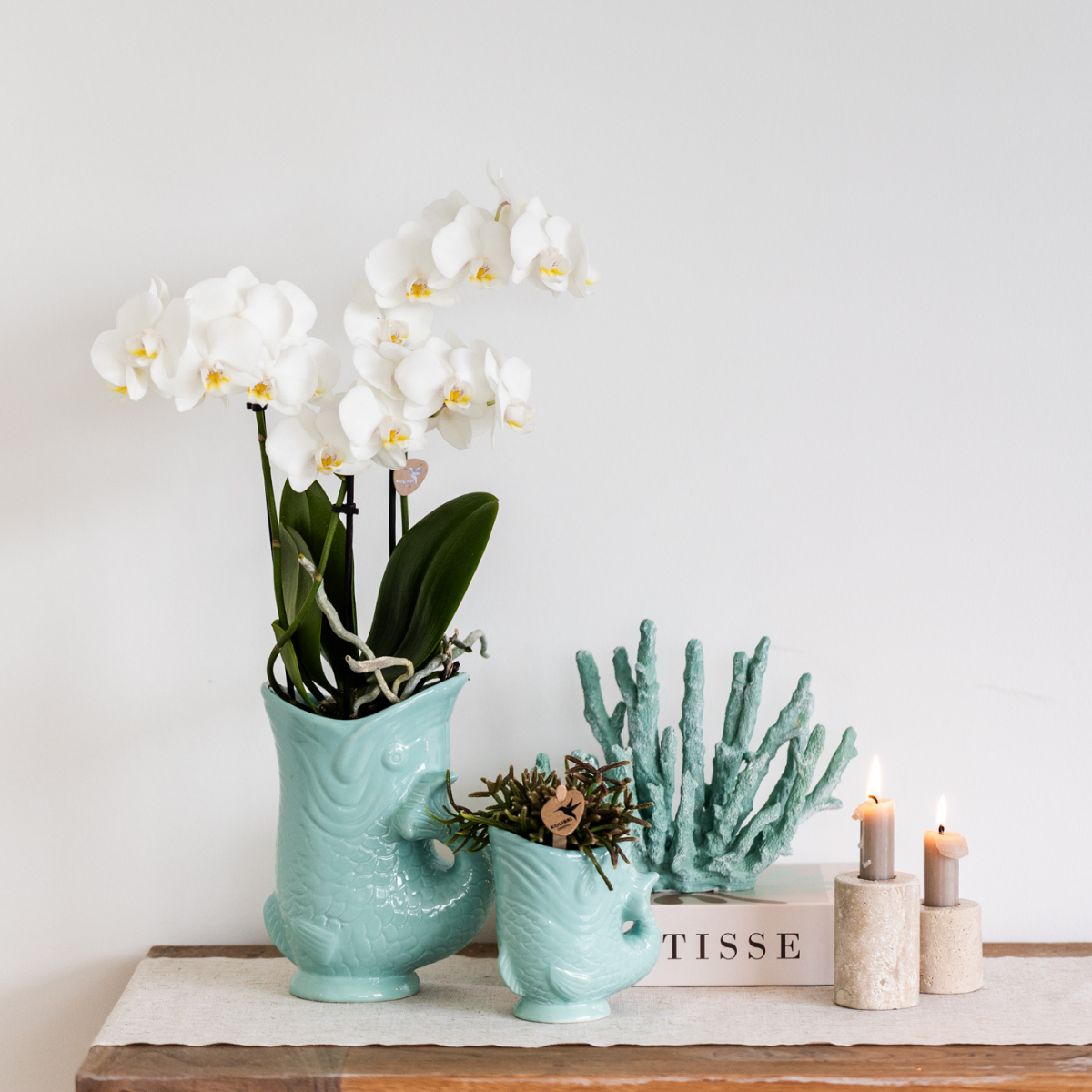 Witte orchidee Amabilis met turquoise Fish pot naast een kleine vispot op een bijzettafel met decoratie