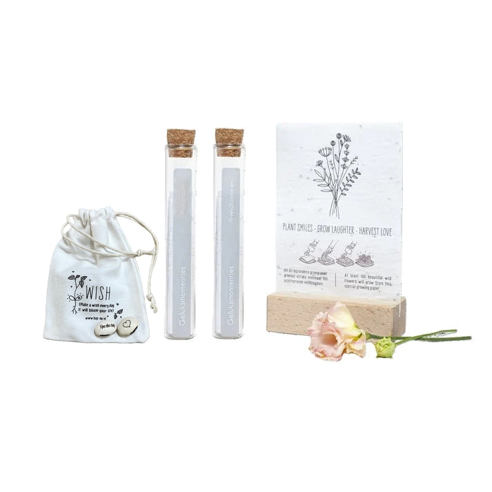 Groene cadeauset met wensbonen en groeipapier buisjes