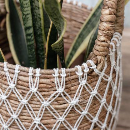Sfeerfoto Geweven mand Kubu met plant