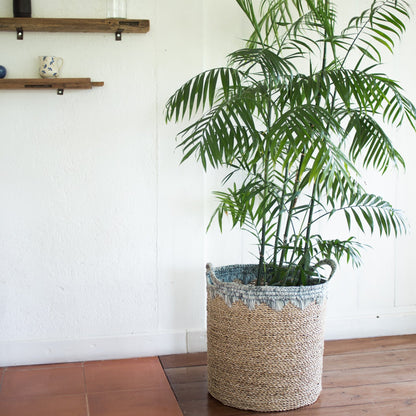 Sfeerfoto Geweven mand Nias met plant