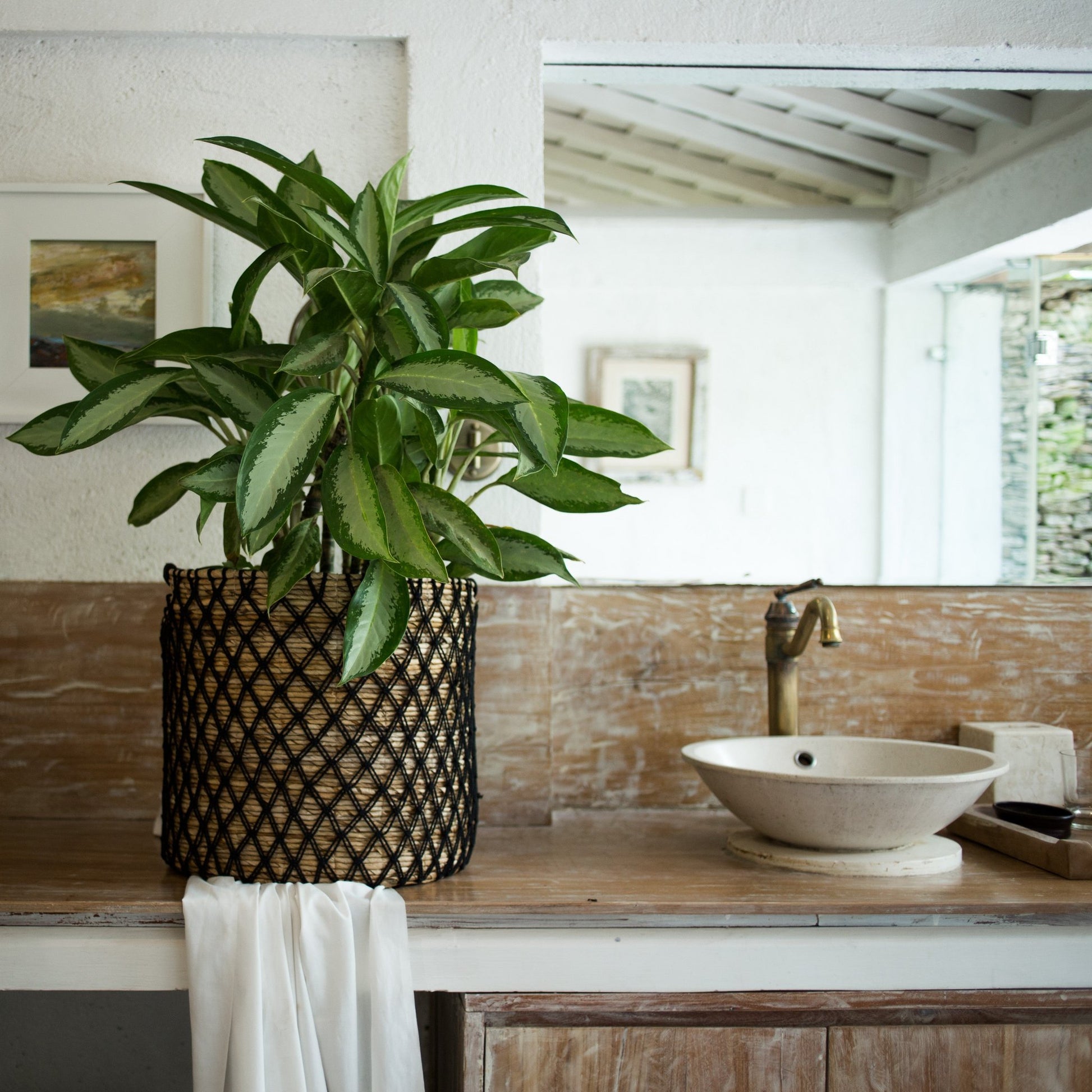 Sfeerfoto Geweven mand Pura met plant