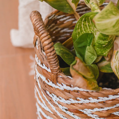 Sfeerfoto Geweven mand Yalimo met plant closeup detail