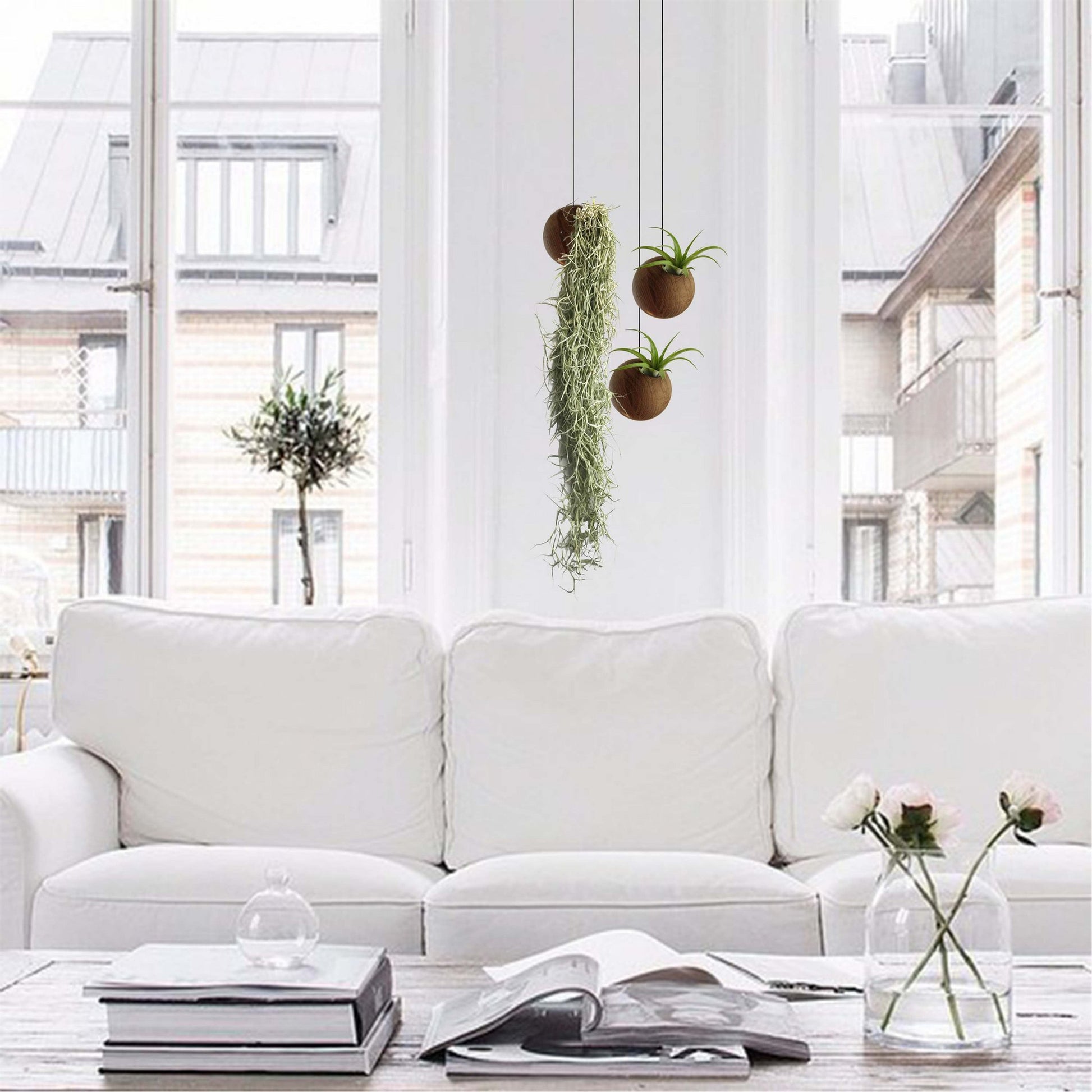 Sfeerfoto hangende donkere plantenbak in witte ruimte met groene planten