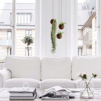 Hangende donkere plantenbak in een wit modern interieur