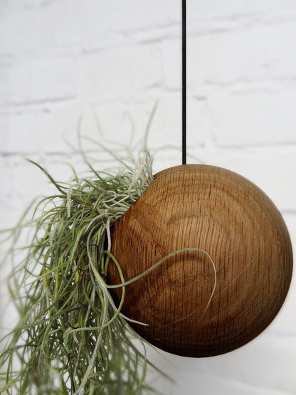 Hangende donkere plantenbak van de zijkant met een hangplant erin